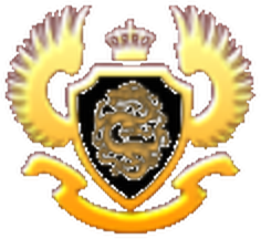 腾龙公司客服 Logo